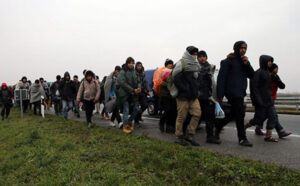 Nezakonito prešli granicu iz BiH u Hrvatsku: Jedna grupa migranata opljačkala drugu