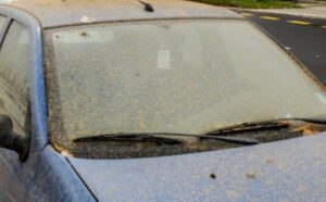 Ne perite prozore i automobile: Saharski pijesak stiže u Bosnu i Hercegovinu
