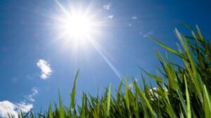 Duvaće slab do umjeren vjetar: Tokom dana sunčano i sve toplije