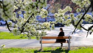Konačno stigli “lijepi dani proljeća”: Prognoza za BiH najavljuje sunčanu i toplu nedjelju