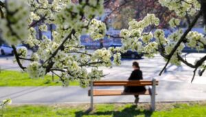 Živa na termometru “skače” i do broja 22: Prognoza o vremenu u BiH za naredne dane