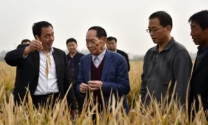 Poznat kao “otac hibridne riže”: Preminuo kineski naučnik Juan Longping