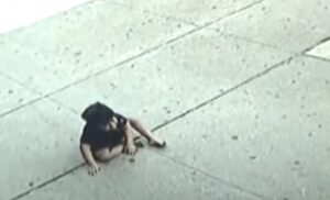 “Gledao nas je iznenađeno. Nije plakao”: Trogodišnjak preživio pad sa petog sprata VIDEO