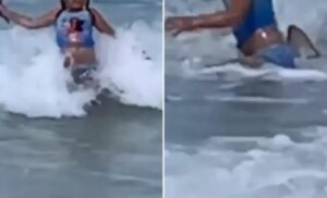 Drama na plaži! Djevojčica (6) izletjela iz plićaka jer je oko nje kružila ajkula VIDEO