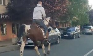 Hit scena u Beogradu: Zajahao konja do prodavnice, natovario namirnice, pa odjurio VIDEO