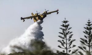 Buknuo požar kod Dubrovnika: Vatru gase četiri kanadera