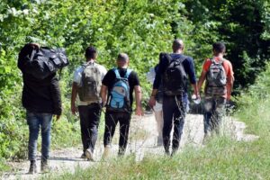 Grupa migranata preko šume stigla u Goražde