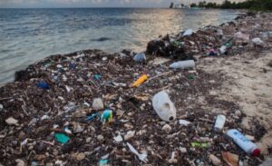 Novo istraživanje: Dvadeset firmi proizvodi 55 odsto svjetskog plastičnog otpada
