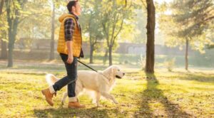 Čuvajte svoje ljubimce: Postavljen otrov za pse u parku kod Delte