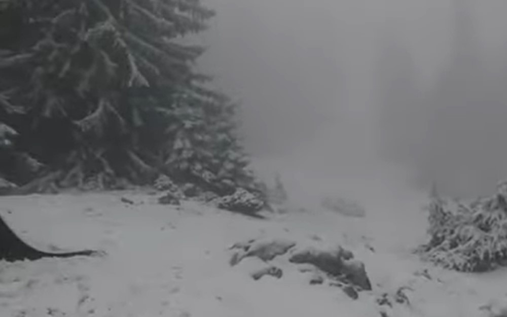 Zabijelilo se na vrhu planine: Jutros osvanuo snijeg na Vlašiću VIDEO