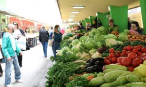 Udruženje povrtara Srpske u problemu: Velike vrućine i divljač nanose štete povrću