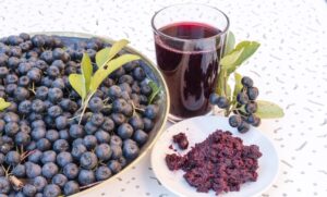 Svrstava se među najzdravije voće: Aronija može smanjiti i šećer u krvi