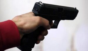 Evropol proveo akciju: Lažni pištolji omiljeno oružje kriminalaca