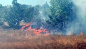 Vatrogasci na terenu: Izbio požar na deponiji otpada u Bileći
