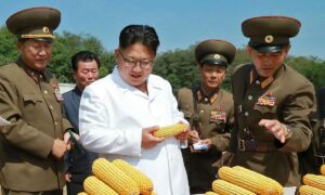Nestašica hrane u Sjevernoj Koreji: Poljoprivredni sektor u proizvodnom minusu