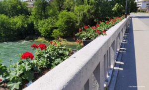 Lijep prizor: Gradski most ukrašen cvijećem i ove godine    