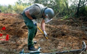 Strane organizacije nezakonito uklanjaju mine u BiH