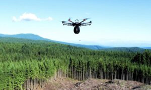 Upotreba dronova u svrhu pošumljavanja: Milijardu stabala za godinu dana