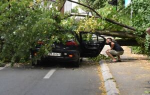 Stablo palo na automobil u Banjaluci