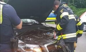 Nezapamćen slučaj! Državljanin BiH ispod haube automobila u Njemačku dovezao zmiju