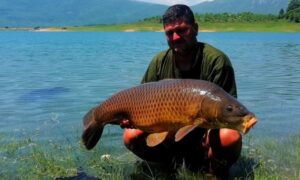 “Borba” je trajala sat i 15 minuta: Upecao šarana od 17,5 kilograma na jezeru u BiH