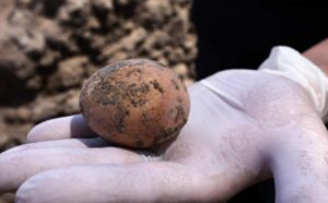 Jedinstvena pojava! Arheolozi otkrili netaknuto kokošje jaje staro hiljadu godina