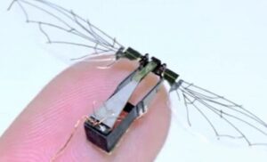 Mogu da napadaju u rojevima: Struka izumila mikro-dronove sa krilima kao kod ptica