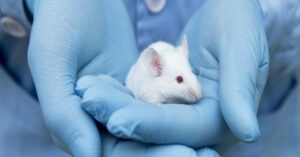 Kako se rodilo 168 miševa začetih spermom iz svemira