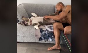 Snimak osvojio internet! Uspavani pas budi se samo ako njegov vlasnik kaže čarobnu riječ