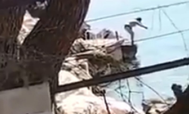 Skok koji će vas nasmijati do suza: Urnebesno otvaranje sezone kupanja VIDEO