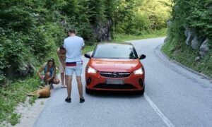 Tužna slika: Nesavjesni vozač usmrtio srnu i lane na putu kroz Nacionalni park “Sutjeska”