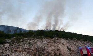 Vatrogasci se neumorno bore s buktinjom: Pod kontrolom požari u trebinjskim selima