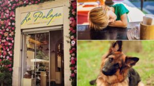 Vlasnik restorana u Rimu zabranio ulaz djeci i psima: “Kvare atmosferu”
