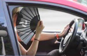 Tropske vrućine otežavaju vožnju: Preporuka da se prave češće pauze