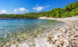 Istina ih šokirala: Ugledali obezglavljeno tijelo na plaži i pretrnuli VIDEO