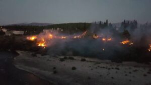 Sumnja se na ljudski faktor: Veliki požar u Podgorici podmetnut?