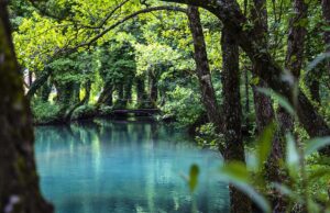 Neprocjenjivo prirodno bogatstvo: BiH ima čak 12 prašuma