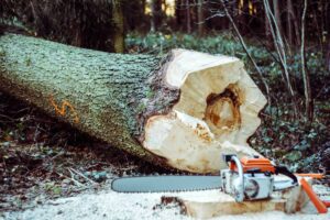Slaba potražnja i manjak radnika: Smanjena proizvodnja šumskih sortimenata