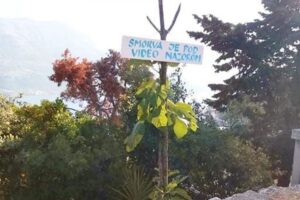 Čik uberi ako smiješ: Natpis na smokvi na Korčuli nasmijao mnoge FOTO