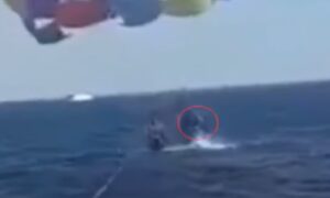 Strašno: Ajkula iskočila iz vode i čovjeku otkinula dio noge VIDEO