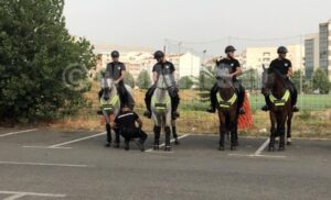 Euforija u Banjaluci! Konjica i službeni psi obezbjeđuju utakmicu Borac-Kluž VIDEO, FOTO