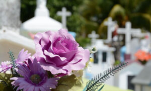 Brojne krađe na grobljima: Opština postavila kamere, snimljeni lopovi