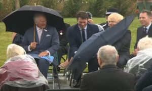 Borba Titana: Britanski premijer jedva savladao kišobran VIDEO