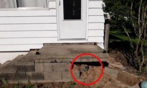 Čovjek ostao u šoku: Raskopao temelj ispod stepenica i nije mogao vjerovati šta je našao FOTO