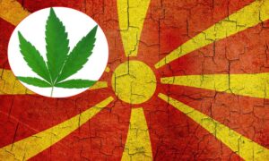 Makedonci bi da izvoze marihuanu: Vlada predložila novi zakon, formira se i posebna agencija za kontrolu