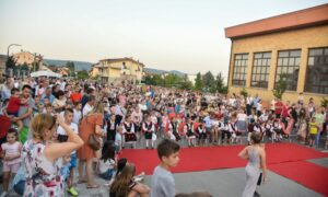 Očuvanje tradicije i običaja: “Petrovdanski dani Petrićevca” od 8. do 14. jula