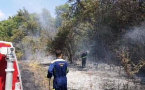 Gorjeli su trava i nisko rastinje: U požaru na njivi smrtno stradao starac (83)