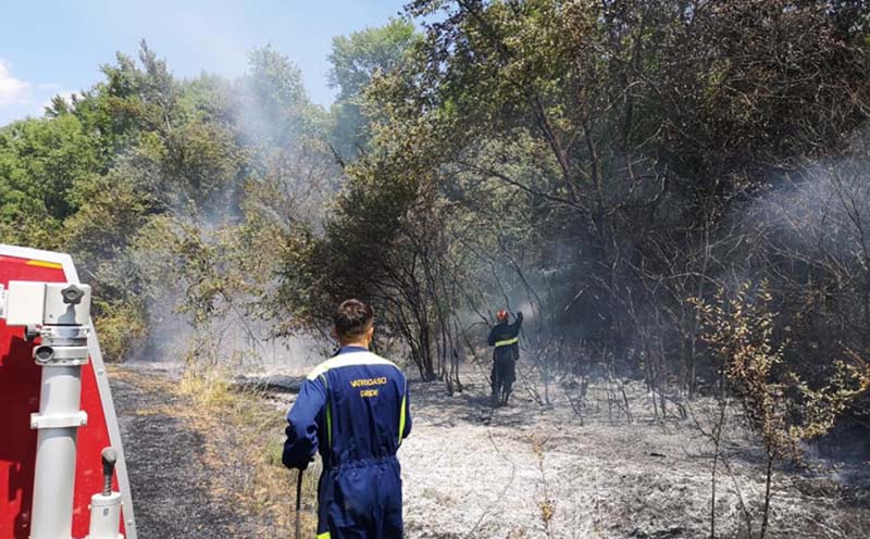 Gorjeli su trava i nisko rastinje: U požaru na njivi smrtno stradao starac (83)