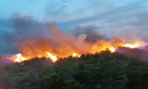 U Crnoj Gori veliki požar, ugroženo naselje VIDEO