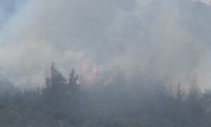 Vatrogasci na terenu: Buknuo požar iznad sela Lađevići